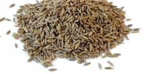 Cumine Seeds