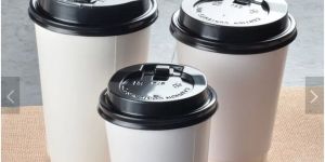 Custom Printed Double Wall Paper Coffee Cups