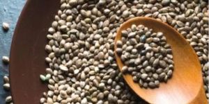 Hemp Seeds