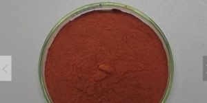 Powder Lycopene 5%