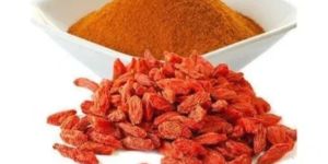 Red Wolfberry Powder 99%HPLC