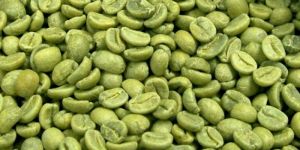 Arabica Green Coffee Beans