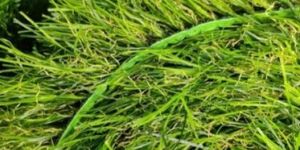 PVC Artificial Grass