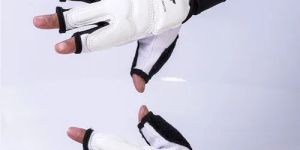 Taekwondo Hand Gloves
