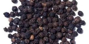 Black Pepper Seeds