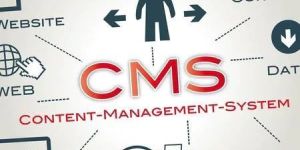 Digital Content Management Services