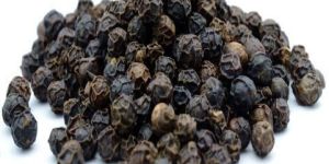 Black Pepper
