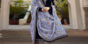 Ladies Party Wear Suit