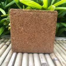 Coco Peat Block