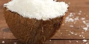 Desiccated Coconut Powder