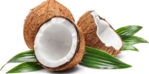 Fresh Coconut