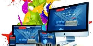 Website Designing