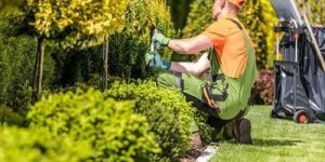 Garden Cleaning Services