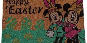 12mm PVC Backed Coir Door Mat