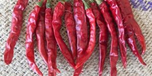 Sannam Dry Red Chilli