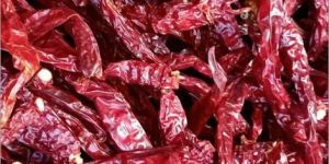 Wrinkled 273 Dry Red Chilli