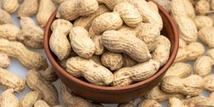 Shelled Peanuts
