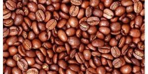 Arabica Coffee Beans
