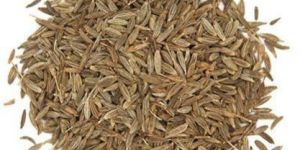 Whole Cumin Seeds