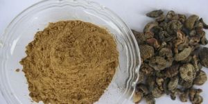 Amla Powder