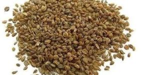 Celery Seeds