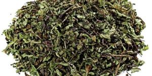 Dried Mentha Arvensis