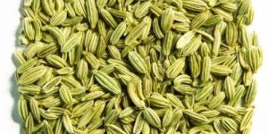 Fennel Seeds
