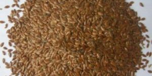 Flax Seeds