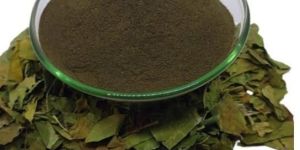 Gymnema Sylvestre Extract Powder