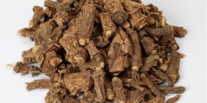 Indian Sarsaparilla Roots