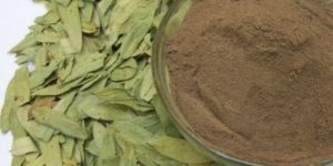 Senna Extract Powder
