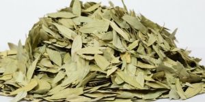 Senna Leaves