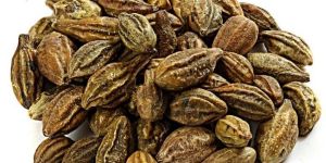 Terminalia Chebula Yellow (Myrobalan)