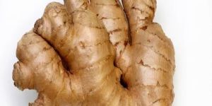 Fresh Aromatic Ginger