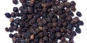 Black Pepper Seeds