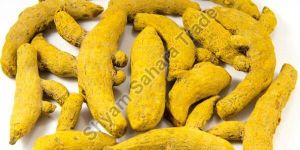 Raw Turmeric Finger