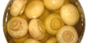 Canned Whole Button Mushroom