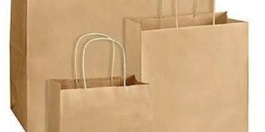 Disposable Paper Bags