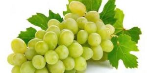 Fresh Grapes