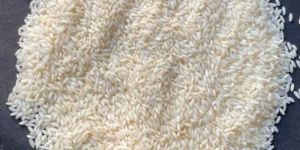 Sona Masoori Steam Rice