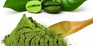 Green Coffee Bean Extract Powder