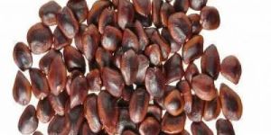 Tamarind Seeds