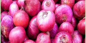 Onions