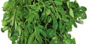 Moringa Leaves