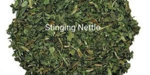Nettle Leaf Tea