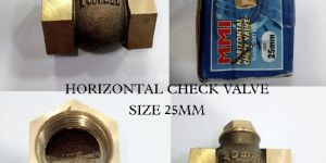 25mm Mmi Brass Check Valve