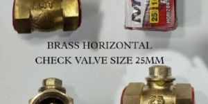 25mm Ntt Brass Check Valve