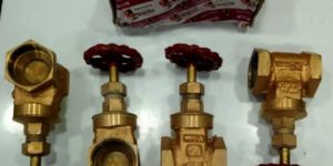 32mm Manik Gun Metal Gate Valve