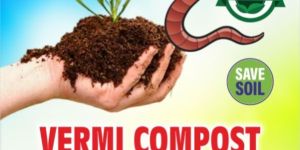 Vermicompost