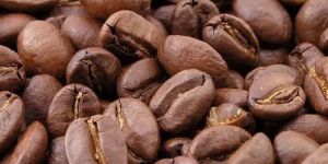 Roasted Coffee Bean